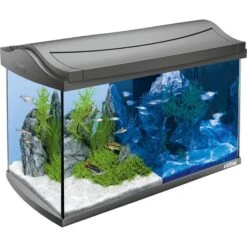 Tetra AquaArt LED Aquarium Komplettset Anthrazit -Heimtierbedarf Geschäft 1000033554