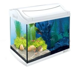 Tetra AquaArt LED Aquarium-Komplett-Set Weiß 6 Tetra AquaArt LED Aquarium-Komplett-Set Weiß -Heimtierbedarf Geschäft 1000039781