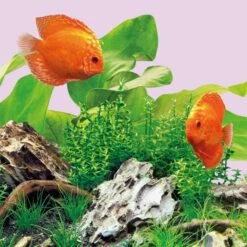 Juwel Leuchtmittel Für Multilux LED Colour -Heimtierbedarf Geschäft 1000072582 3