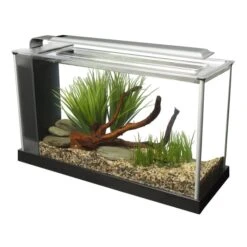 Heimtierbedarf Geschäft 18 Fluval Spec Nano-Aquarium