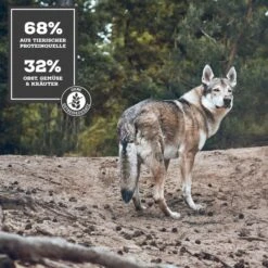 MOON Ranger Rind Mit Süßkartoffeln -Heimtierbedarf Geschäft 1b Konzept bei NassfutteronhctTqYnWWtr