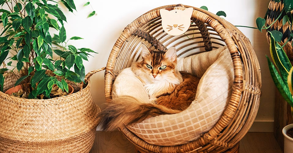 Heimtierbedarf Geschäft 3 Heimtierbedarf Geschäft -Heimtierbedarf Geschäft 2