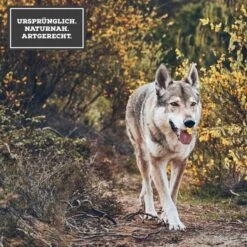 MOON Ranger Wild Mit Kürbis 11 MOON Ranger Wild Mit Kürbis -Heimtierbedarf Geschäft 3 Ursprunglich Naturnah ArtgerechtKBkmsf2yFJWLe