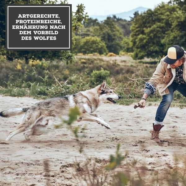 MOON Ranger Wild Mit Kürbis 7 MOON Ranger Wild Mit Kürbis – Bild 5