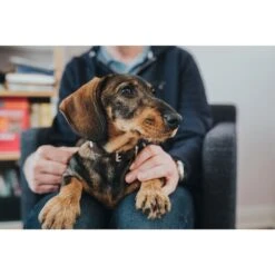 Hunter Halsband Swiss Nickel Braun/Schwarz -Heimtierbedarf Geschäft 41751 hunter halsband swiss nickel braun schwarz 00