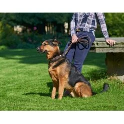 Hunter Verstellbare Führleine Swiss Braun/Schwarz -Heimtierbedarf Geschäft 41760 hunter verstellbare fuhrleine swiss braun schwarz 00