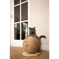 Designed By Lotte Kratzball Balty -Heimtierbedarf Geschäft 64948