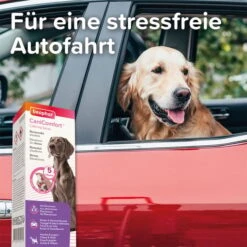Beaphar CaniComfort® Wohlfühl-Spray 60ml -Heimtierbedarf Geschäft CaniComfort Wohlfuehl Spray 60ml3