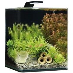 Dennerle NanoCube Basic Set -Heimtierbedarf Geschäft Dennerle NanoCube Basic Style LED M 20l605caf4da747f