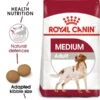 ROYAL CANIN MEDIUM Adult Trockenfutter Für Mittelgroße Hunde -Heimtierbedarf Geschäft RoyalCanin Hundefutter Medium Adult 1