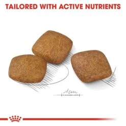 ROYAL CANIN RELAX CARE MAXI Trockenfutter Für Große Hunde In Unruhigem Umfeld -Heimtierbedarf Geschäft RoyalCanin Hundefutter RelaxCare Maxi 4