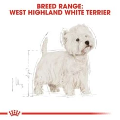 ROYAL CANIN West Highland White Terrier Adult Hundefutter Trocken -Heimtierbedarf Geschäft RoyalCanin Hundefutter WestHighland 6