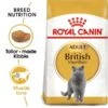ROYAL CANIN British Shorthair Katzenfutter Trocken Für Britisch Kurzhaar 1 ROYAL CANIN British Shorthair Katzenfutter Trocken Für Britisch Kurzhaar -Heimtierbedarf Geschäft RoyalCanin Katzenfutter BritishShorthair 1