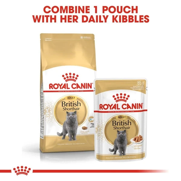 ROYAL CANIN British Shorthair Katzenfutter Trocken Für Britisch Kurzhaar 7 ROYAL CANIN British Shorthair Katzenfutter Trocken Für Britisch Kurzhaar – Bild 5