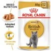 ROYAL CANIN British Shorthair Adult Katzenfutter Nass Für Britisch Kurzhaar 1 ROYAL CANIN British Shorthair Adult Katzenfutter Nass Für Britisch Kurzhaar -Heimtierbedarf Geschäft RoyalCanin Katzenfutter BritishShorthair Nassfutter inSosse 15f1ec61096c7f