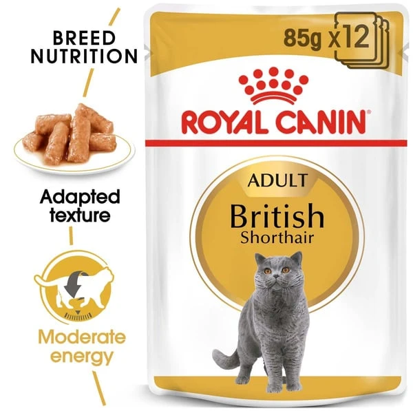 ROYAL CANIN British Shorthair Adult Katzenfutter Nass Für Britisch Kurzhaar 3 ROYAL CANIN British Shorthair Adult Katzenfutter Nass Für Britisch Kurzhaar