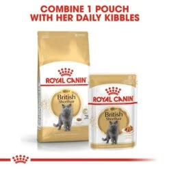 ROYAL CANIN British Shorthair Adult Katzenfutter Nass Für Britisch Kurzhaar 12 ROYAL CANIN British Shorthair Adult Katzenfutter Nass Für Britisch Kurzhaar -Heimtierbedarf Geschäft RoyalCanin Katzenfutter BritishShorthair Nassfutter inSosse 55f1ec613b8756