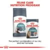 ROYAL CANIN HAIRBALL CARE Trockenfutter 2kg + Nassfutter 12x85g -Heimtierbedarf Geschäft RoyalCanin Katzenfutter HairballCare 55f3691d03f772