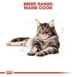 ROYAL CANIN ADULT Maine Coon 10kg + Nassfutter In Soße 48x85g 13 ROYAL CANIN ADULT Maine Coon 10kg + Nassfutter In Soße 48x85g -Heimtierbedarf Geschäft RoyalCanin Katzenfutter MaineCoon 45f367ed79ad1e