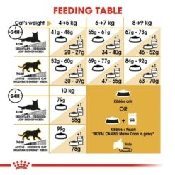 ROYAL CANIN ADULT Maine Coon 10kg + Nassfutter In Soße 48x85g 12 ROYAL CANIN ADULT Maine Coon 10kg + Nassfutter In Soße 48x85g -Heimtierbedarf Geschäft RoyalCanin Katzenfutter MaineCoon 55f367ed4bc8f7