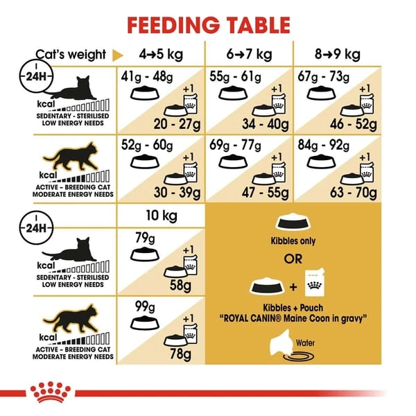 ROYAL CANIN ADULT Maine Coon 10kg + Nassfutter In Soße 48x85g 7 ROYAL CANIN ADULT Maine Coon 10kg + Nassfutter In Soße 48x85g – Bild 5