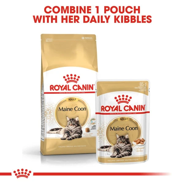ROYAL CANIN ADULT Maine Coon 10kg + Nassfutter In Soße 48x85g 3 ROYAL CANIN ADULT Maine Coon 10kg + Nassfutter In Soße 48x85g