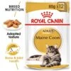 ROYAL CANIN Maine Coon Adult Katzenfutter Nass