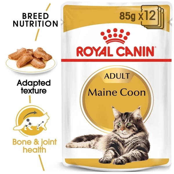 ROYAL CANIN Maine Coon Adult Katzenfutter Nass 3 ROYAL CANIN Maine Coon Adult Katzenfutter Nass