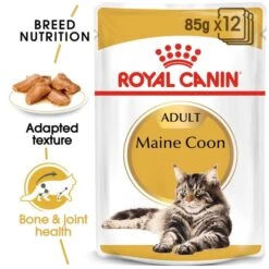 ROYAL CANIN ADULT Maine Coon 10kg + Nassfutter In Soße 48x85g 10 ROYAL CANIN ADULT Maine Coon 10kg + Nassfutter In Soße 48x85g -Heimtierbedarf Geschäft RoyalCanin Katzenfutter MaineCoon Nassfutter inSosse 15f1ec5b5f11945f367eca1b7a4