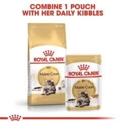 ROYAL CANIN Maine Coon Adult Katzenfutter Nass 13 ROYAL CANIN Maine Coon Adult Katzenfutter Nass -Heimtierbedarf Geschäft RoyalCanin Katzenfutter MaineCoon Nassfutter inSosse 55f1ec5b9426f0