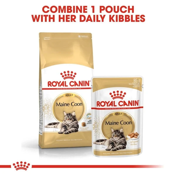 ROYAL CANIN Maine Coon Adult Katzenfutter Nass 7 ROYAL CANIN Maine Coon Adult Katzenfutter Nass – Bild 5