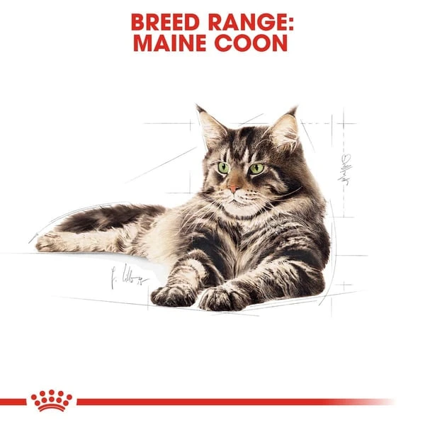 ROYAL CANIN Maine Coon Adult Katzenfutter Nass 8 ROYAL CANIN Maine Coon Adult Katzenfutter Nass – Bild 6