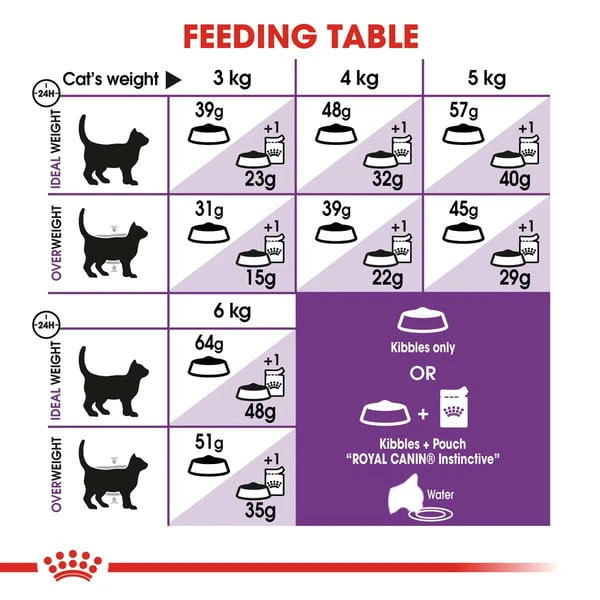 ROYAL CANIN SENSIBLE Trockenfutter 10kg + INTENSE BEAUTY Nassfutter 48x85g 8 ROYAL CANIN SENSIBLE Trockenfutter 10kg + INTENSE BEAUTY Nassfutter 48x85g – Bild 6