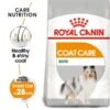 ROYAL CANIN COAT CARE MINI Trockenfutter Für Kleine Hunde Für Glänzendes Fell -Heimtierbedarf Geschäft RoyalCanin Hundefutter CCN CoarCare Mini 1