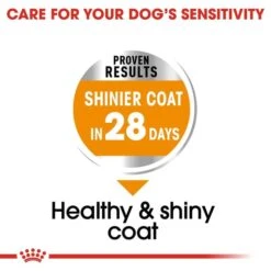 ROYAL CANIN COAT CARE MINI Trockenfutter Für Kleine Hunde Für Glänzendes Fell 11 ROYAL CANIN COAT CARE MINI Trockenfutter Für Kleine Hunde Für Glänzendes Fell -Heimtierbedarf Geschäft RoyalCanin Hundefutter CCN CoarCare Mini 3