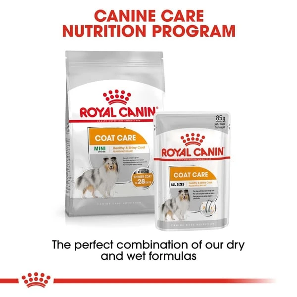 ROYAL CANIN COAT CARE MINI Trockenfutter Für Kleine Hunde Für Glänzendes Fell 8 ROYAL CANIN COAT CARE MINI Trockenfutter Für Kleine Hunde Für Glänzendes Fell – Bild 6