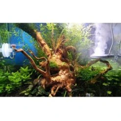 TWINSTAR 2 Aquarium-Sterilisator Nano Plus -Heimtierbedarf Geschäft ada aquarium sterilisator twinstar alle 4560e45226ccd45a86df643c424