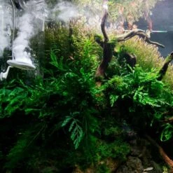 TWINSTAR 2 Aquarium-Sterilisator M3 19 TWINSTAR 2 Aquarium-Sterilisator M3 -Heimtierbedarf Geschäft ada aquarium sterilisator twinstar alle 65a86daff9206c