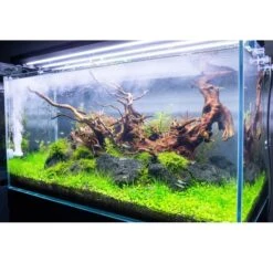 TWINSTAR 2 Aquarium-Sterilisator Nano Plus -Heimtierbedarf Geschäft ada aquarium sterilisator twinstar alle560e451a9eac15a86df5f757d2