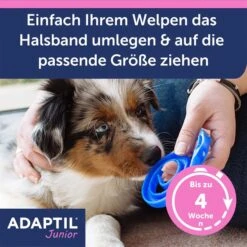 Adaptil Junior Halsband -Heimtierbedarf Geschäft adaptil junior halsband 4