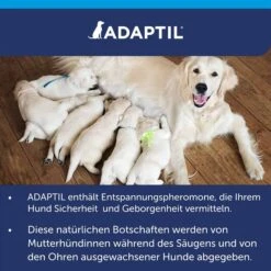 Adaptil Verdampfer 1 Monats-Nachfüllflakon 48ml 20 Adaptil Verdampfer 1 Monats-Nachfüllflakon 48ml -Heimtierbedarf Geschäft adaptil verdampfer 1 monats nachfullflakon 48ml 9