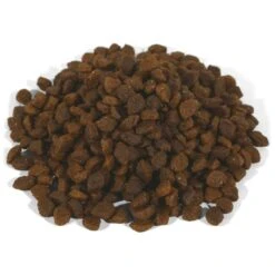 Applaws Cat Hühnchen Mit Lamm 7 Applaws Cat Hühnchen Mit Lamm -Heimtierbedarf Geschäft applaws cat huhnchen mit lamm 400g 2