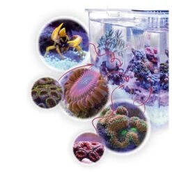 Aqua Medic Armatus XS -Heimtierbedarf Geschäft aqua medic micro aquarium armatus xs web 10