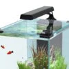 EasyLed Für Das Aquatlantis Nano Cubic -Heimtierbedarf Geschäft aquatlantis easyled nano cubic schwarz