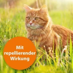 ARDAP Spot-On Für Katzen -Heimtierbedarf Geschäft ardab spot on fur katzen 2
