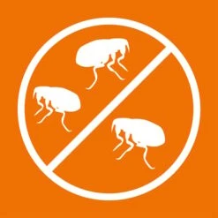 ARDAP Anti-Floh Shampoo Für Hunde 3x250ml -Heimtierbedarf Geschäft ardap anti floh shampoo fur hunde 250ml 5JRkSnu8m20PQr