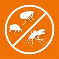 ARDAP Fogger - Ungeziefervernebler 6x100ml -Heimtierbedarf Geschäft ardap fogger ungeziefervernebler 5zbQ6HKEi45ab7