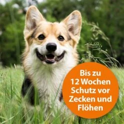 ARDAP Spot-On Für Hunde 10 ARDAP Spot-On Für Hunde -Heimtierbedarf Geschäft ardap spot on fur hunde 2