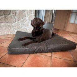 Aumüller Hundebett Basic Rechteckig 58 Cm -Heimtierbedarf Geschäft aumueller hundebett basic rechteckig web 4rDR4nwzsx6gyK