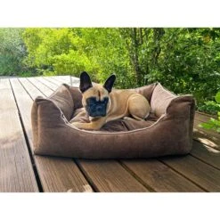 Aumüller Hundebett Sofa Ortho Line 80 Cm -Heimtierbedarf Geschäft aumueller hundebett bed sofa ortho line braun web 4